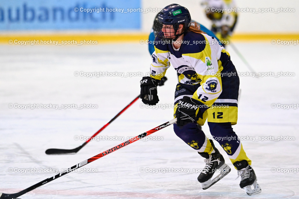 BST_6505 | hockey sports photos, Pressefotos, Sportfotos, hockey247, win 2day icehockeyleague, Handball Austria, Floorball Austria, ÖVV, Kärntner Eishockeyverband, KEHV, KFV, Kärntner Fussballverband, Österreichischer Volleyballverband, Alps Hockey League, ÖFB, 