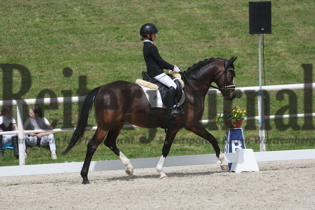 Birkhof_2024_Prfg.Nr.02_Dressurreiterprfg_Kl.A_Mary-Ann Hollenbach_Kastanienhof Kentaur WE (4) | Alle Fotos der Reiterjournal Fotografin Doris Matthaes im Reiterjournal Online-Fotoshop. - Realisiert mit Pictrs.com