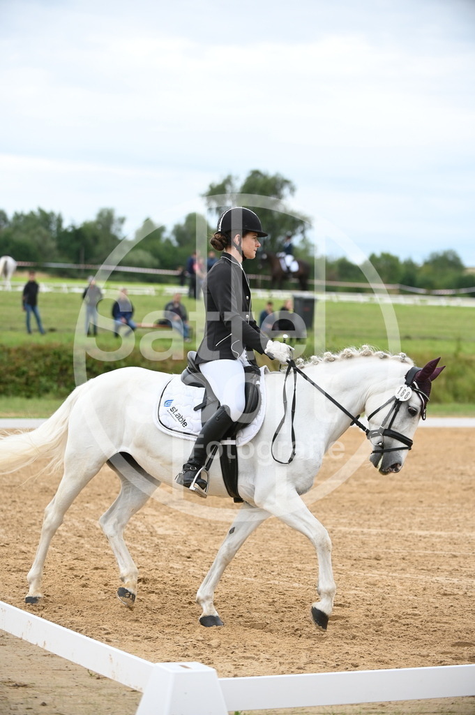 DSC_4567 | sattelsport - Realisiert mit Pictrs.com