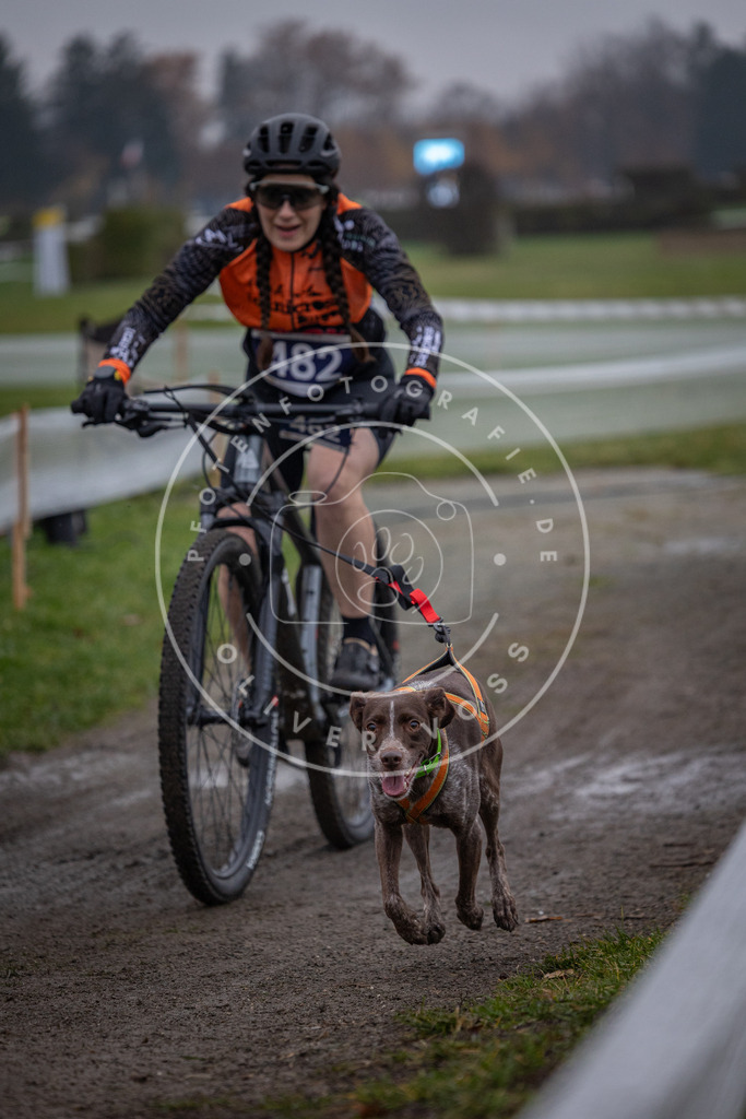 CaniXpix_0L8A1776 | Hundefotografie, Tierfotograf, Pfotenfotografie, Fotoshooting Hund, Hunde Portrait, Hundesport, Hundeportraits, Heideshooting, Hunde, Sportfotograf, Hundefotograf, Turnierhundsport, THS,  - Realisiert mit Pictrs.com