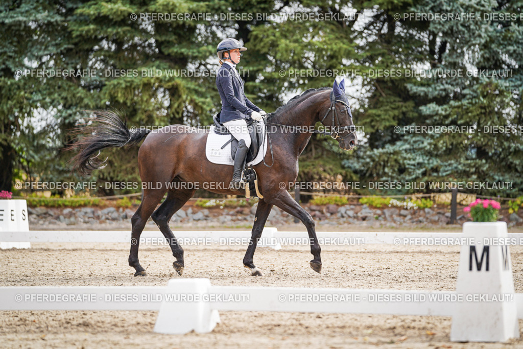 DSC01894 | Pferdegrafie