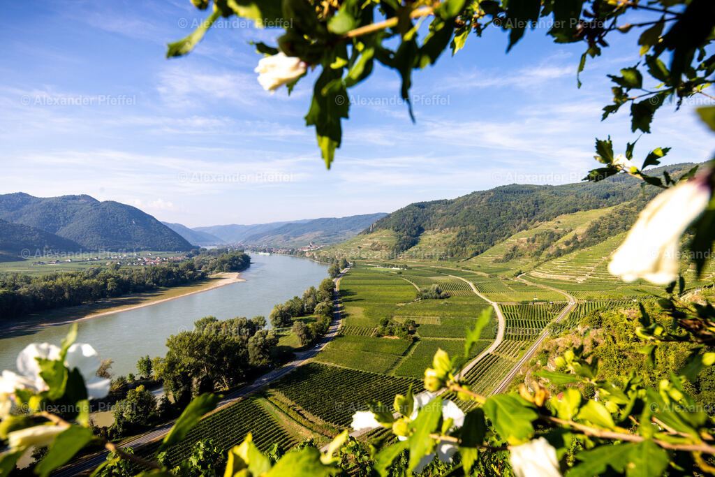 foto_c_pfeffel-partner-0168-foto_c_pfeffel-partner-11625 | alexander-pfeffel - Realisiert mit Pictrs.com