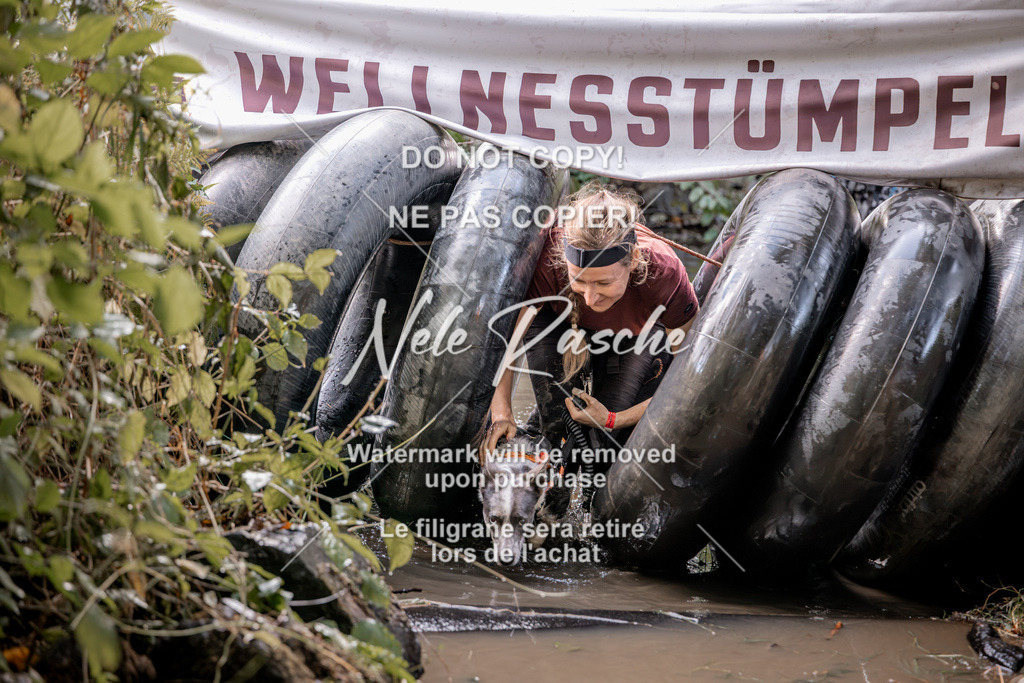 nelerasche_Hunsrück2026_Sa1400-1500_350 | nelerasche