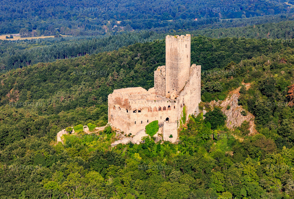 Vue aérienne: Château de l'Ortenbourg à Scherwiller dans le département Bas Rhin, France – .Photo: IMG_093278.jpg prise le 16/08/2016 par Werner Riehm/FLY-FOTO.eu – Résolution de l'original: 5145 x 3481 px – Château de l'Ortenbourg - Visitgrandest