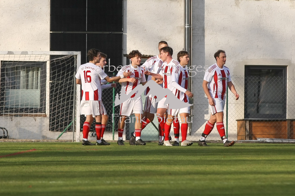 993T1266 | 1:0 Zwiesel