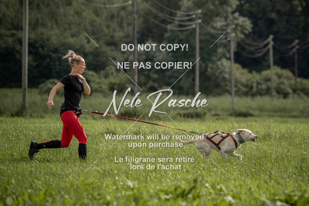 nelerasche_DoN_177 | nelerasche