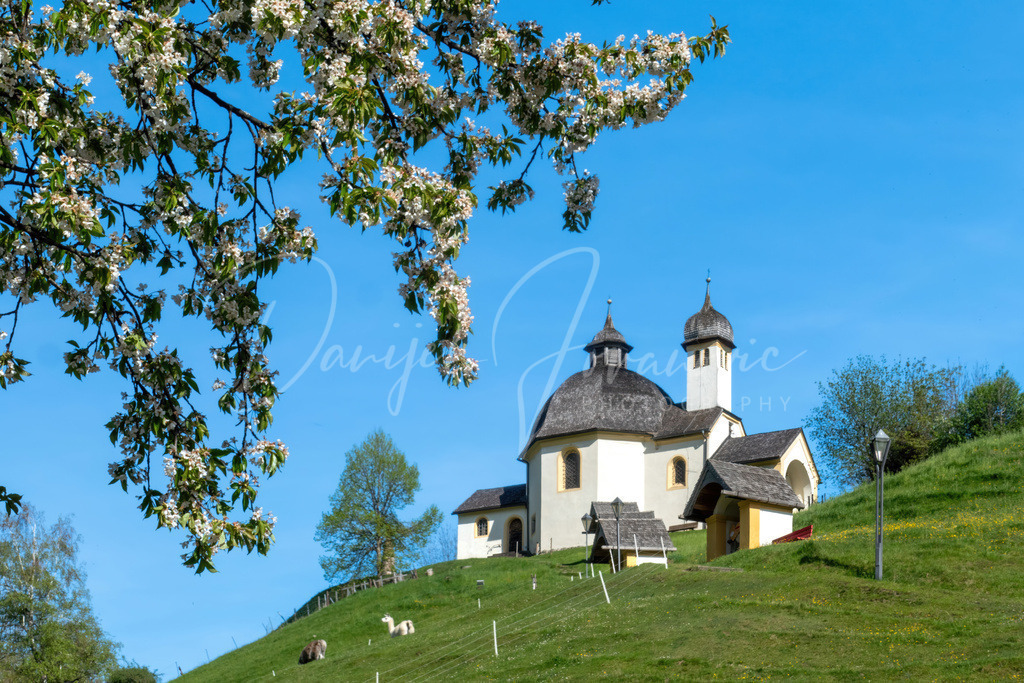 P2340162 | Professioneller Fotograf - Bildbestellung online - Wandbilder vom Profi für ihr Zuhause, Büro, Praxis, Firma - große Auswahl an Materialien und Formaten, über 1400 regionale Motive