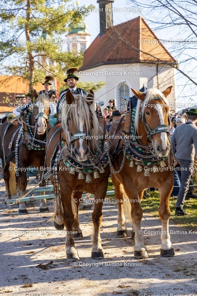 LBT25-1164 | foto-bettina-krinner - Realisiert mit Pictrs.com