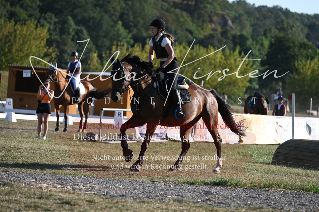 DSC_9004 | Pferde- und Turnierfotografie in Westsachsen. Pferdeportraits, Auftragszeichnungen und intuitive Kunst.