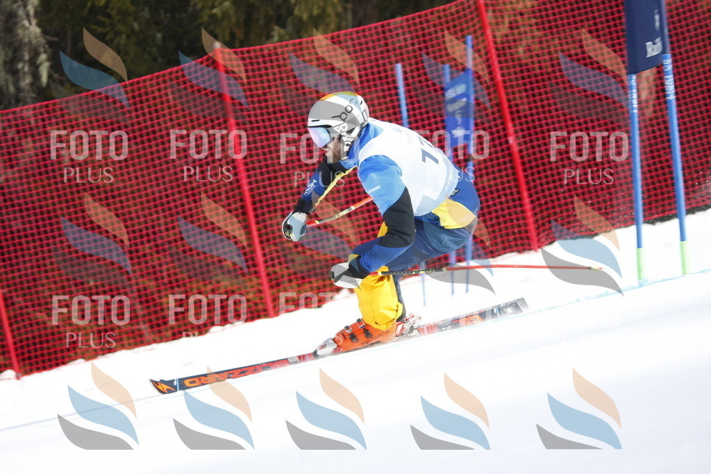 D7667 | holidayphoto