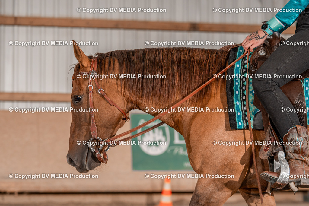 Balingen Tag 2-615 | dv-media-shop - Realisiert mit Pictrs.com