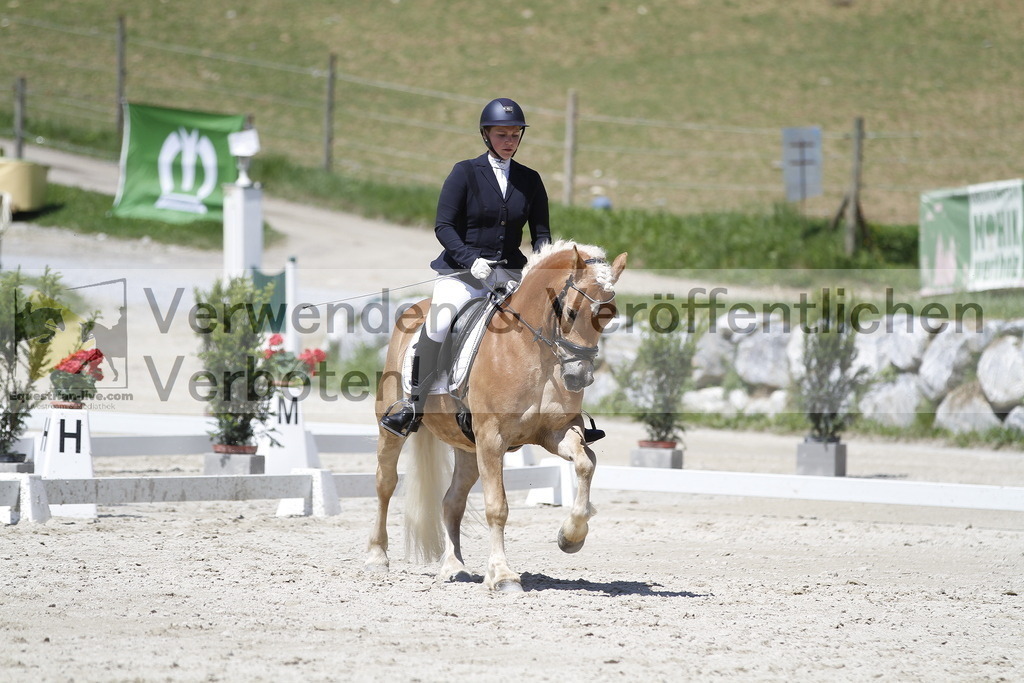 _MG_5246 | equestrian-live-com