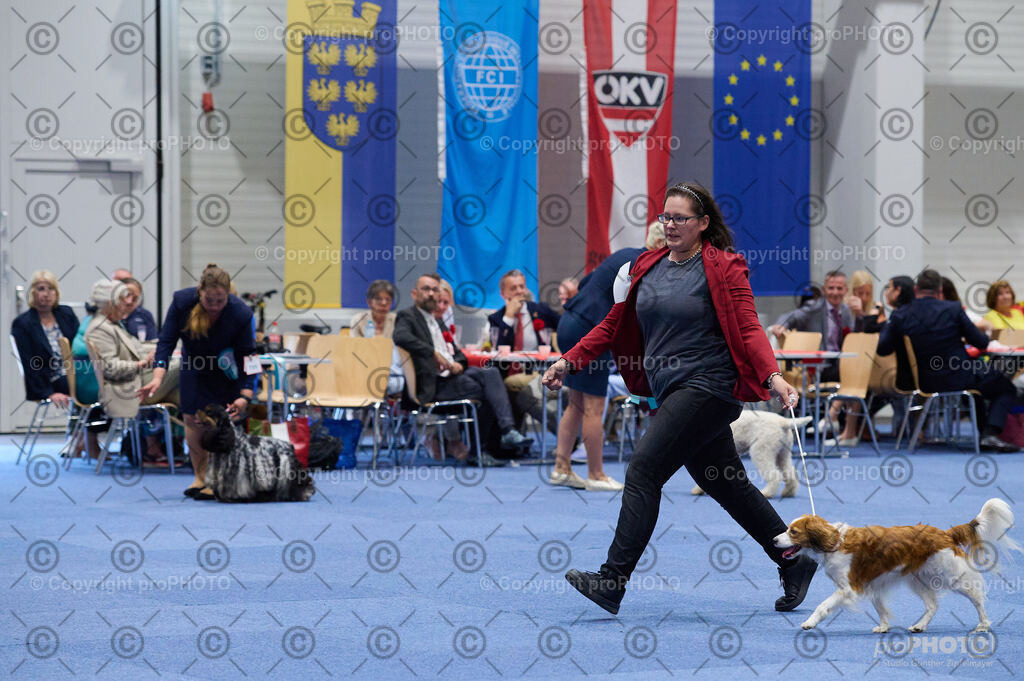 202406_ÖKV-IHA-Tulln24_DSC_3191 | proPHOTO - Realisiert mit Pictrs.com