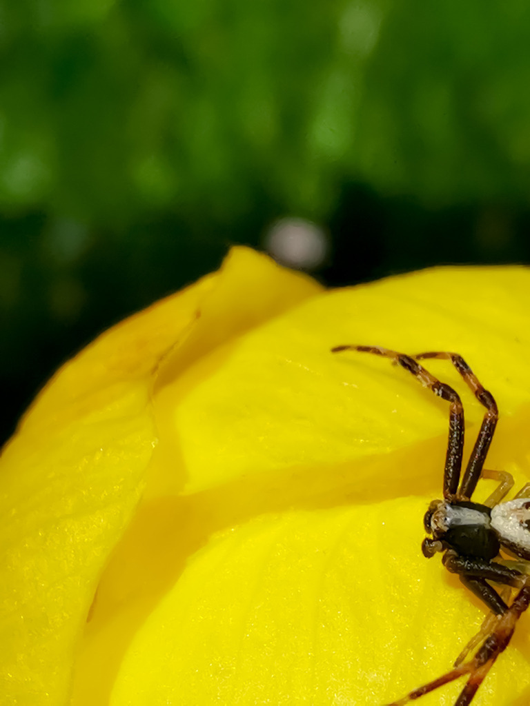 PSX_20230529_230111 | mtkfoto_ - Realisiert mit Pictrs.com