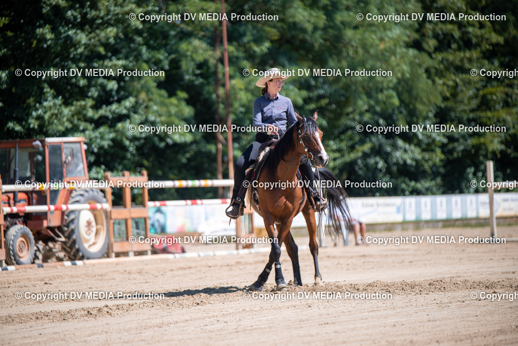 ZS1_1013 | dv-media-shop - Realisiert mit Pictrs.com