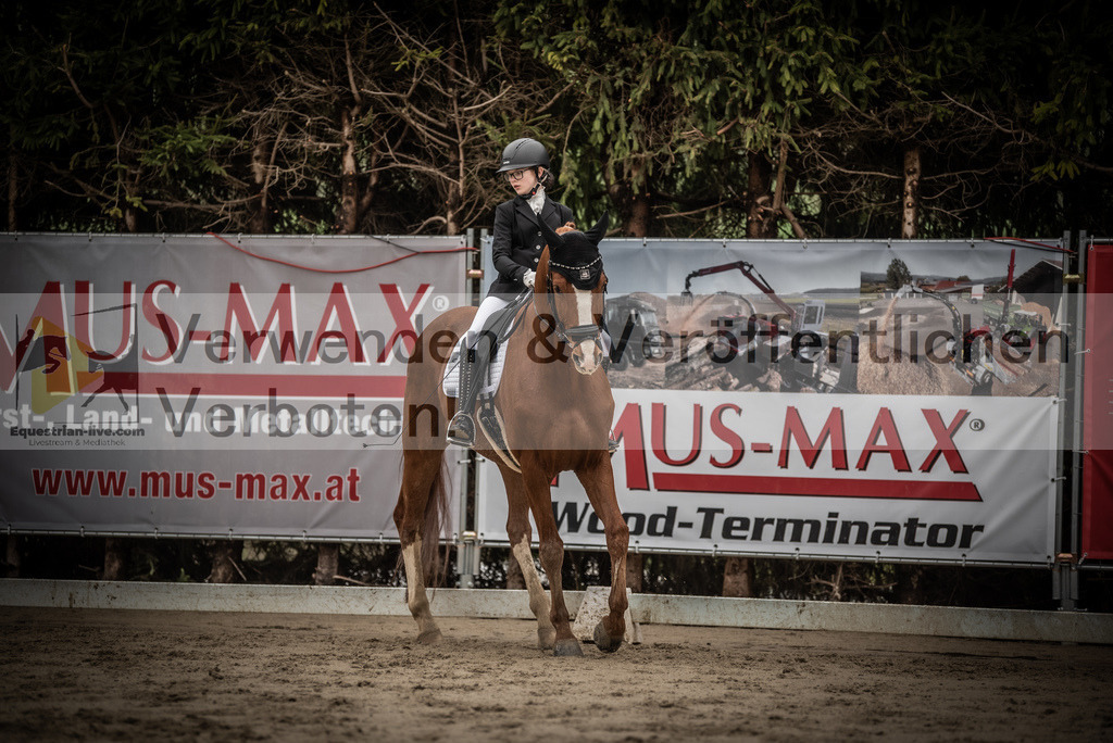 DSC_0183 | equestrian-live-com