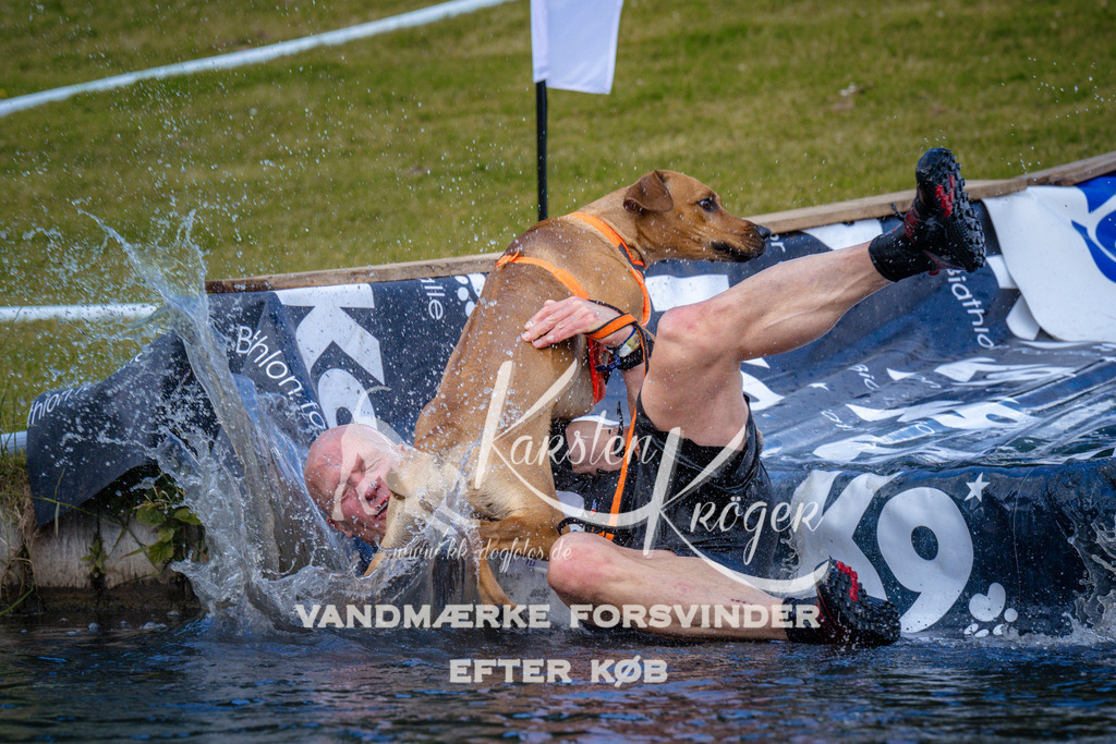 _ZZ947191002 | kk-dogfotos