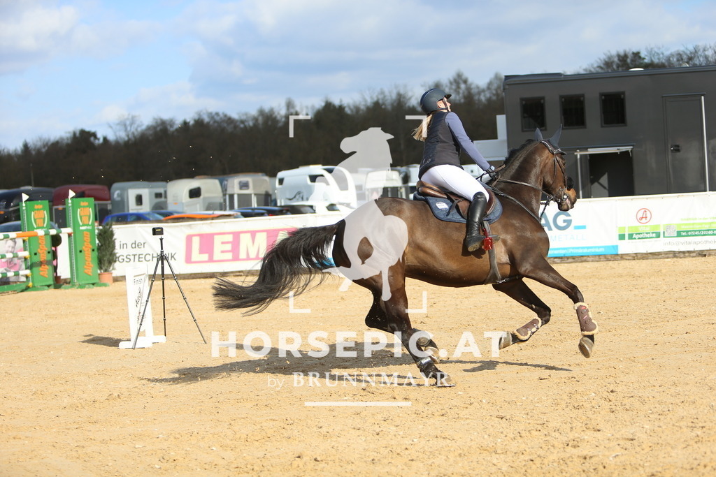 DL2Q0862 | Willkommen bei Brunnmayr - Design & Fotografie – Ihrem Spezialisten für Reitturniere und Pferdeveranstaltungen in Oberösterreich, Salzburg und Bayern! Seit über 17 Jahren sind wir leidenschaftlich dabei.