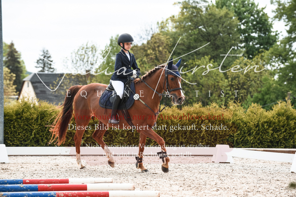 20230518_JK-Röhrsdorf-10-041 | Pferde- und Turnierfotografie in Westsachsen. Pferdeportraits, Auftragszeichnungen und intuitive Kunst.