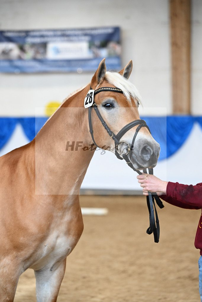 Kat-Nr. 28 nn v. Nio_Kirchberger_48251072 | hf-fotografie - Realisiert mit Pictrs.com