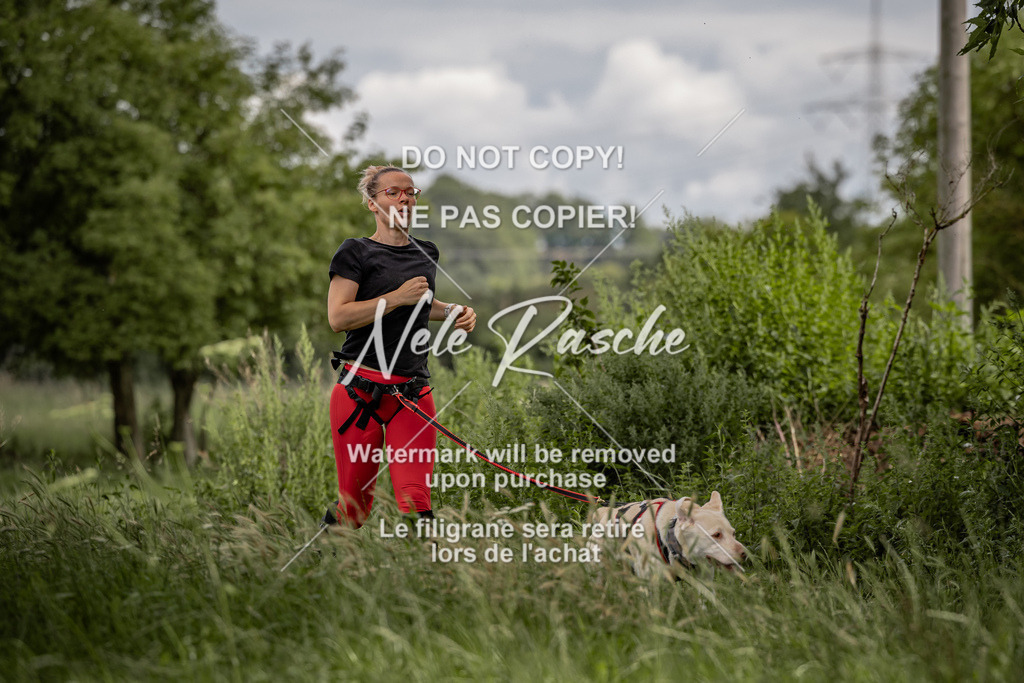 nelerasche_DoN_117 | nelerasche