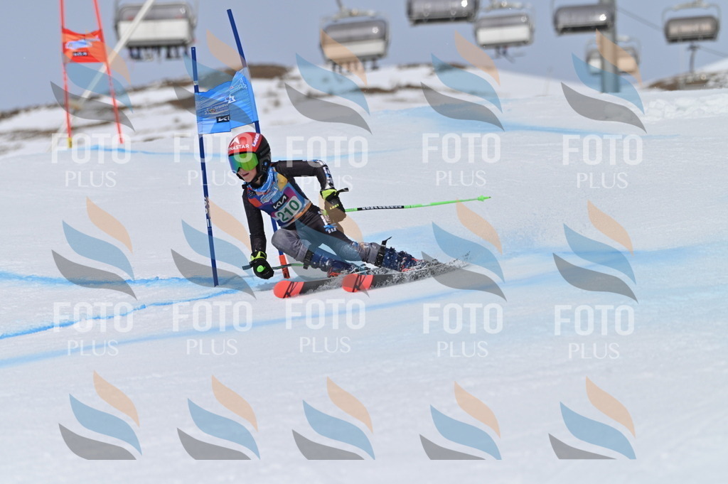 BGV_4063 | holidayphoto