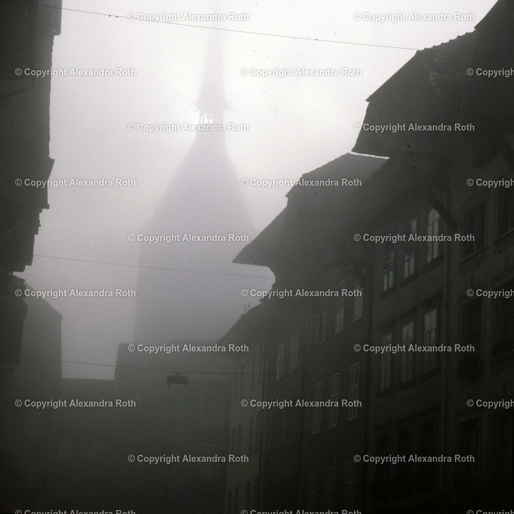 Aarau_0976 | onlineshop - Realisiert mit Pictrs.com