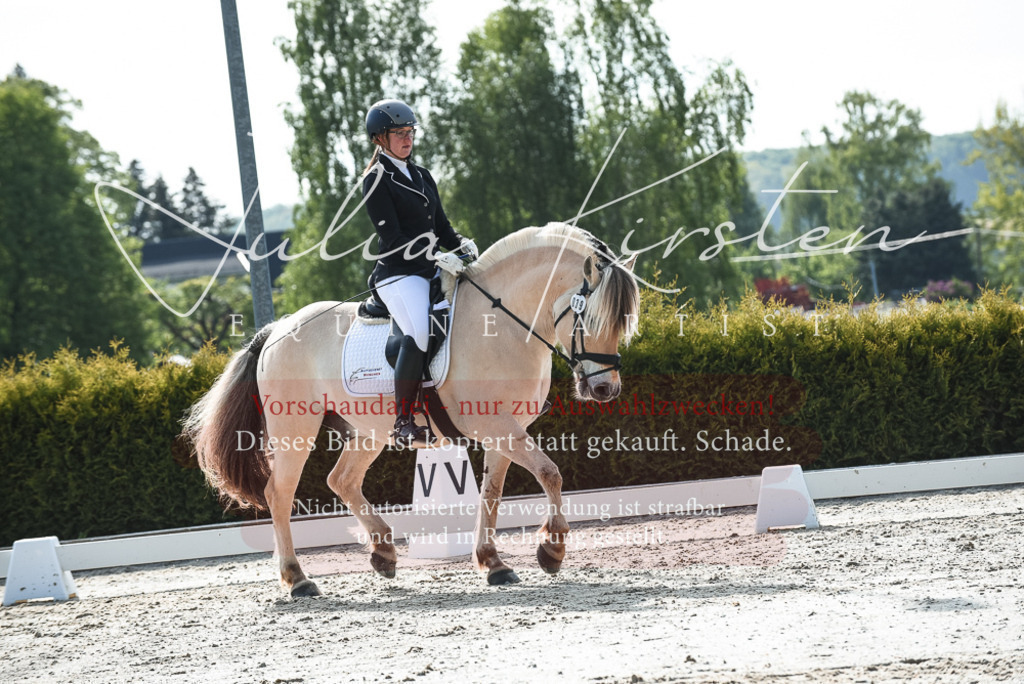 20230518_JK-Röhrsdorf-09-1094 | Pferde- und Turnierfotografie in Westsachsen. Pferdeportraits, Auftragszeichnungen und intuitive Kunst.