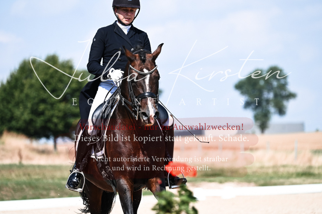 DSC_2954 | Pferde- und Turnierfotografie in Westsachsen. Pferdeportraits, Auftragszeichnungen und intuitive Kunst.
