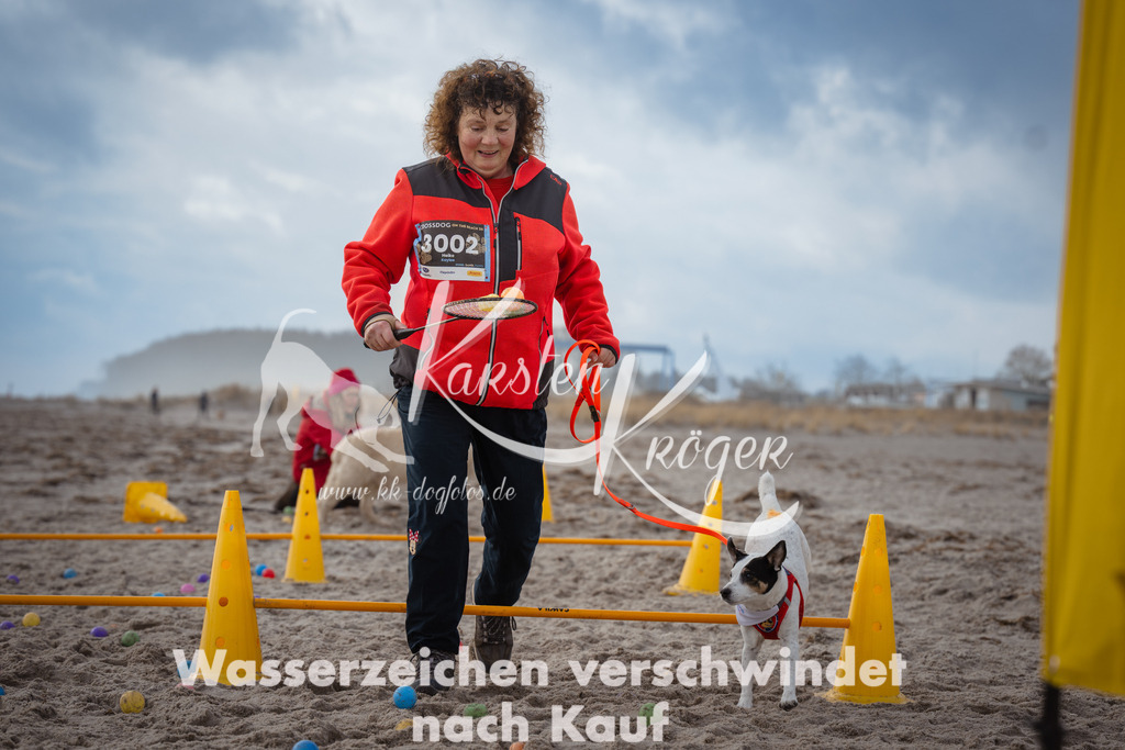1209_ZZ94356 | kk-dogfotos