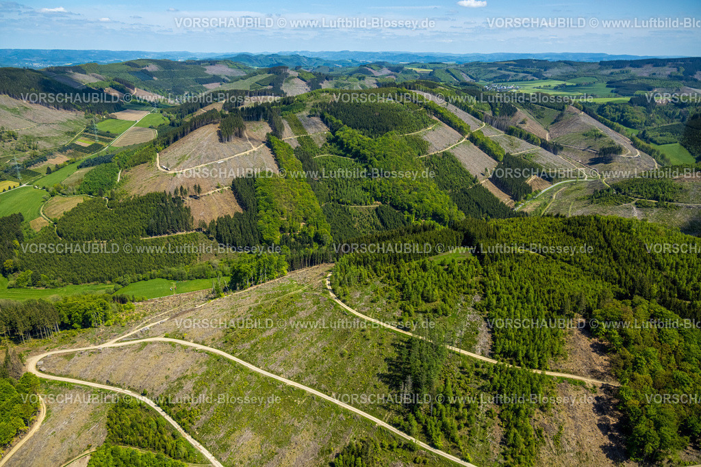 Sundern230505497 | Luftbild, Wanderwege im Waldgebiet mit Waldschäden, Hügellandschaft bei Endorf, Sundern, Sauerland, Nordrhein-Westfalen, Deutschland