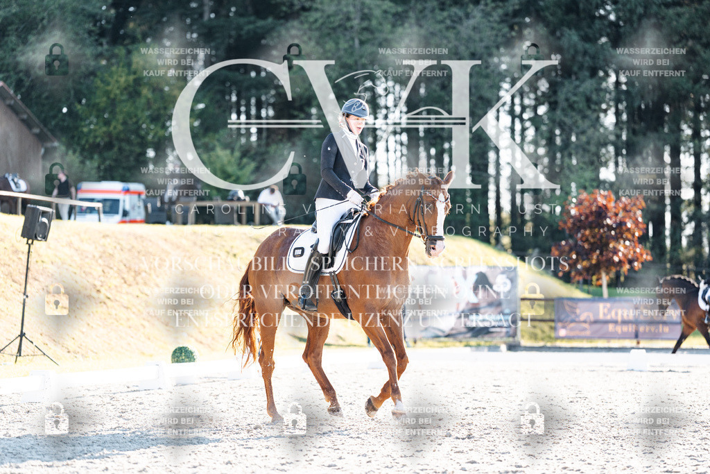 CK906978 | Turnierfotografie Pferdefotografie Trier Rheinland-Pfalz Pferdesport Reitsport Tierfotografie Sportfotografie Pferdevideo Pferdevideografie Equestrianvideography equestrianphotography  - Realisiert mit Pictrs.com