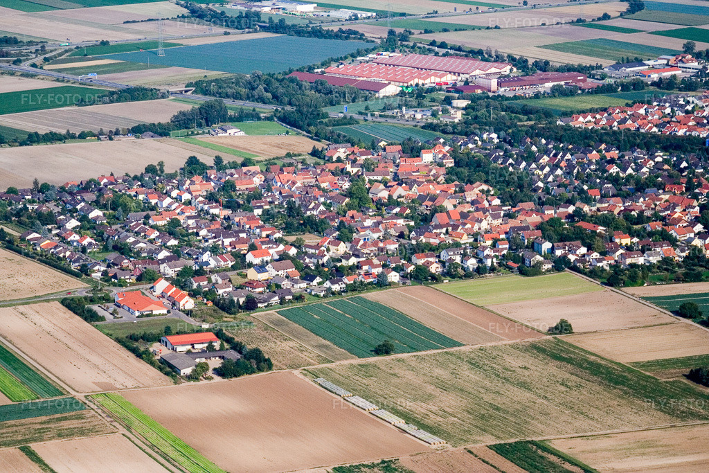 Luftbild: Ortsansicht der Straßen und Häuser der Wohngebiete im Ortsteil Schauernheim in Dannstadt-Schauernheim im Bundesland Rheinland-Pfalz in Deutschland. Foto: IMG_12677.jpg vom 17.08.2008 durch Werner Riehm/FLY-FOTO.de