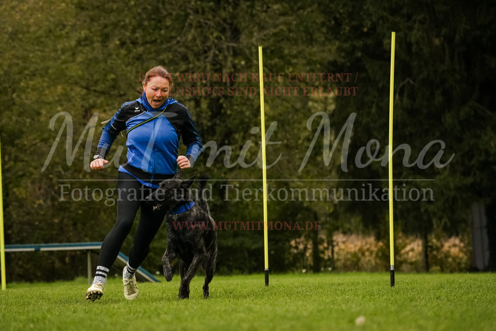 20251005_THS_Turnier-436 | MuT (Mensch und Tier) mit Mona - Fotografie und Tierkommunikation - Realisiert mit Pictrs.com