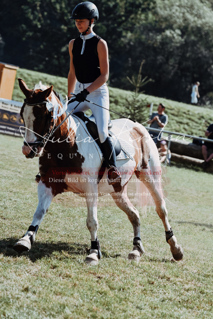 DSC_6228 | Pferde- und Turnierfotografie in Westsachsen. Pferdeportraits, Auftragszeichnungen und intuitive Kunst.