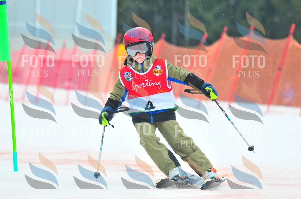 C0548 | holidayphoto