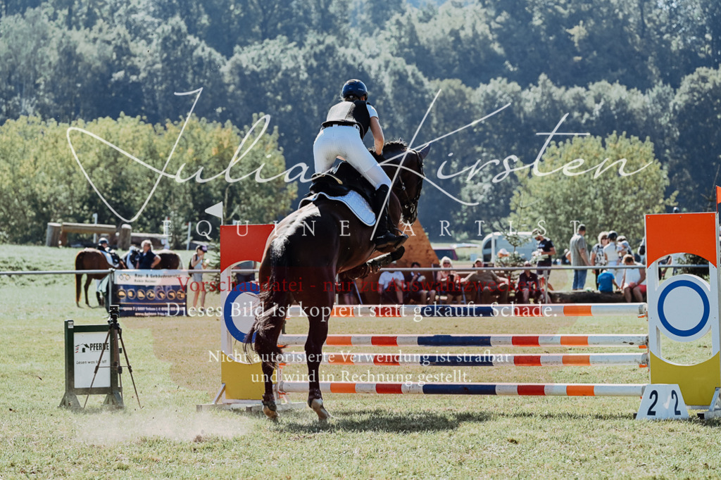 DSC_5593 | Pferde- und Turnierfotografie in Westsachsen. Pferdeportraits, Auftragszeichnungen und intuitive Kunst.