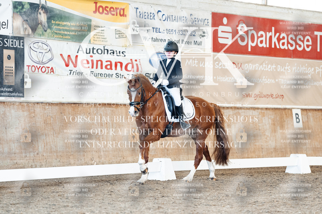 CK908239 | Turnierfotografie Pferdefotografie Trier Rheinland-Pfalz Pferdesport Reitsport Tierfotografie Sportfotografie Pferdevideo Pferdevideografie Equestrianvideography equestrianphotography  - Realisiert mit Pictrs.com