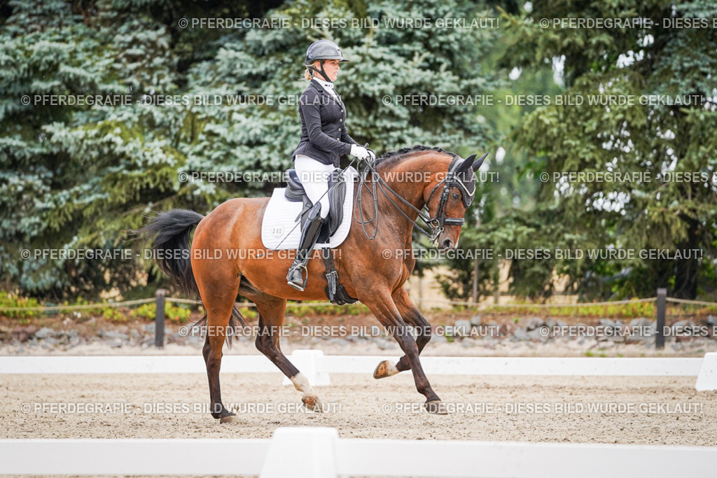 DSC02672 | Pferdegrafie