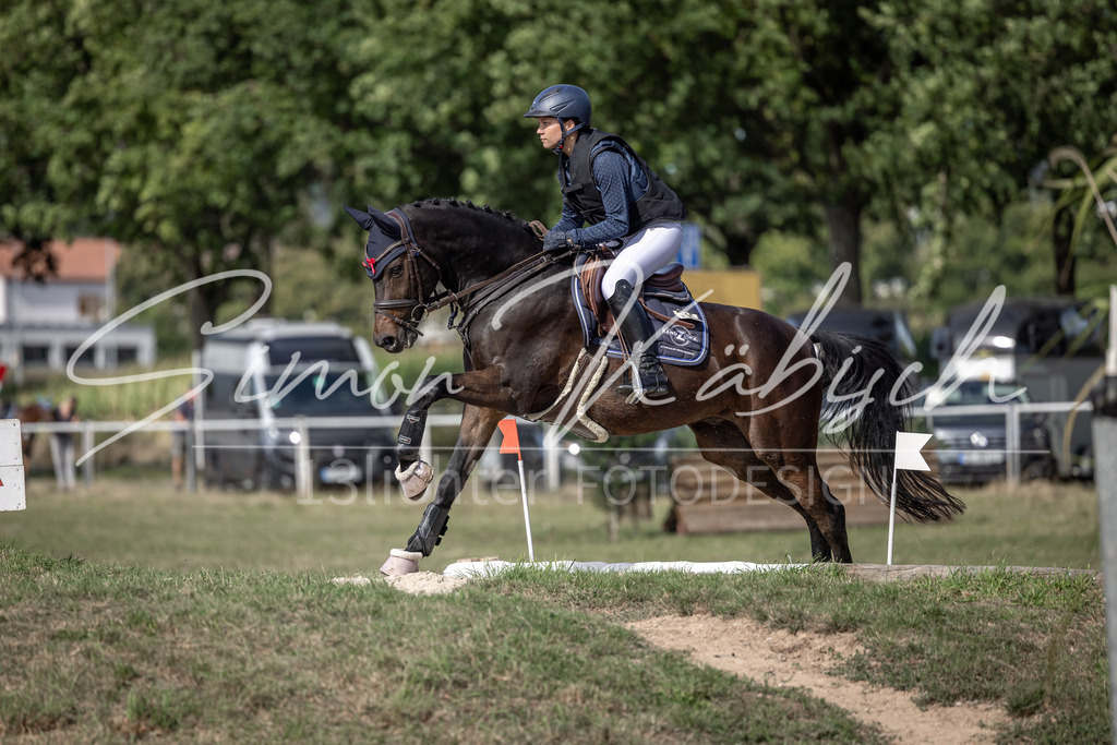 20250907-_3LI9698 | Tierfotografie Pferde, Hunde, Katzen, Haustiere.
Turnierfotografie Reitturniere, Reiten, Springreiten, Dressur in Hanau, dem Main-Kinzig-Kreis und dem Rhein-Main- Gebiet um Frankfurt