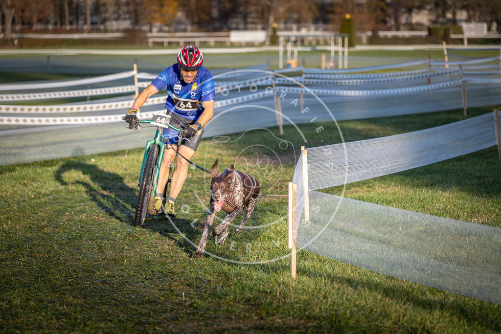 CaniXpix_0L8A3149 | Hundefotografie, Tierfotograf, Pfotenfotografie, Fotoshooting Hund, Hunde Portrait, Hundesport, Hundeportraits, Heideshooting, Hunde, Sportfotograf, Hundefotograf, Turnierhundsport, THS,  - Realisiert mit Pictrs.com