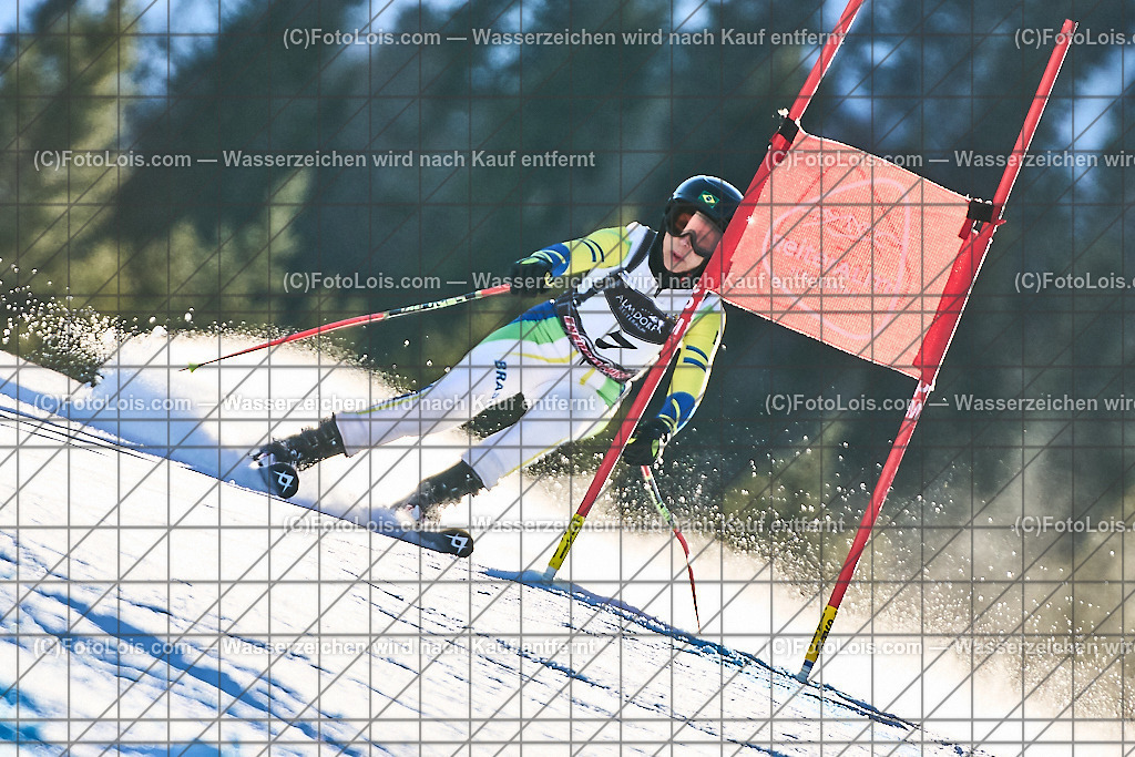 ALP1453_FIS-MastersCup_Reiteralm_Giant-SL_Arnhold Luci | FIS-MastersCup GIANT-SLALOM auf der Reiteralm in Pichl, Sa 18. Jänner 2025.