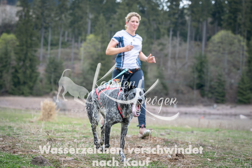 1813_ZZ94576 | kk-dogfotos