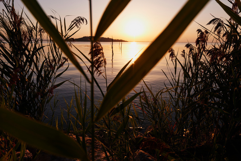 Abendlicht am Lago Trasimeno | San Feliciano, Italien - August 29, 2016: Abendlicht am Lago Trasimeno. - Realisiert mit Pictrs.com
