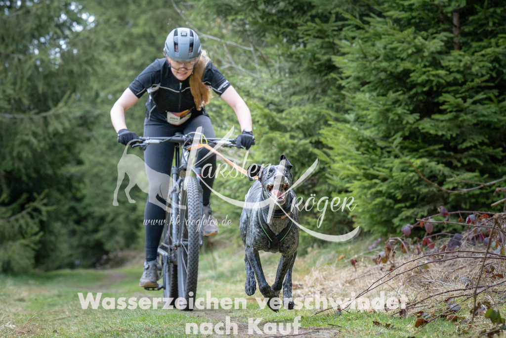 1310_ZZ93848 | kk-dogfotos
