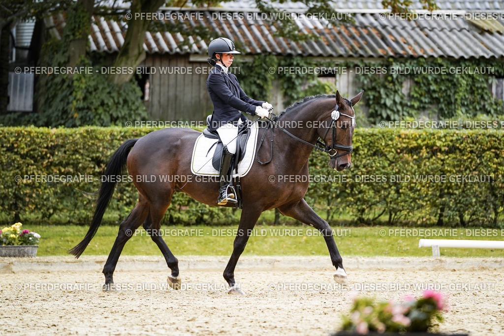 DSC00905 | Pferdegrafie