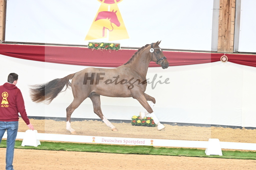 Kat.-Nr. 76 v. Vaderland_Pfefferle_2240914 | hf-fotografie - Realisiert mit Pictrs.com