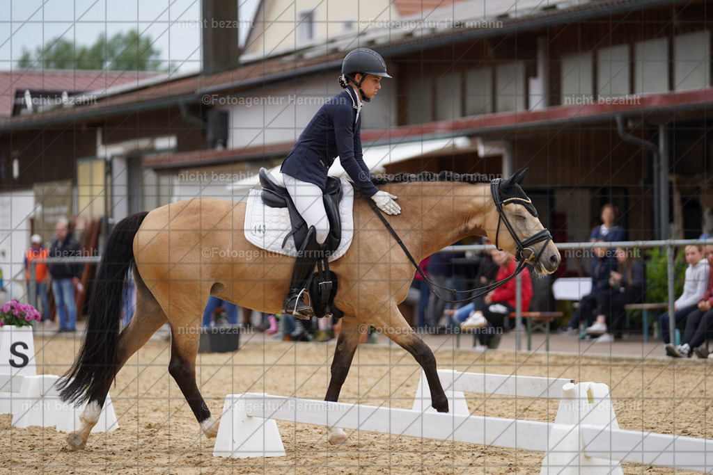 20240825-FAH09879 | Turnierbilder, Reitsportfotos, LAPO, Landesponyturnier, Turnierfotografen Bayern