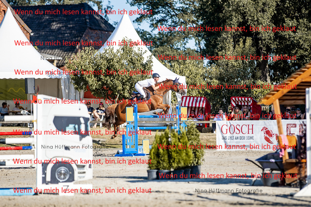 BK1A8261 | Turnierbilder Turnierfotos Nina Hüffmann Turnierfotografie Pferdefotografie Tierzeichnung Haustierzeichnung Pferdezeichnung Hundezeichnung Videograf  - Realisiert mit Pictrs.com