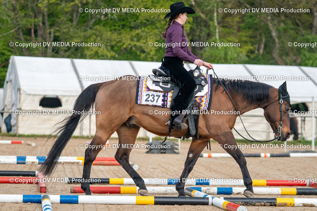 Heiligenwald Tag 1-81 | dv-media-shop - Realisiert mit Pictrs.com